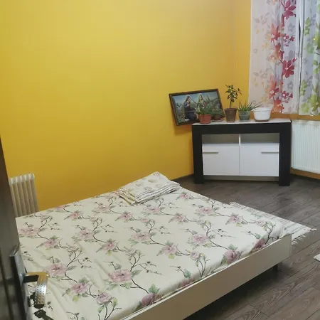 홈스테이 El'mehico House 부쿠레슈티